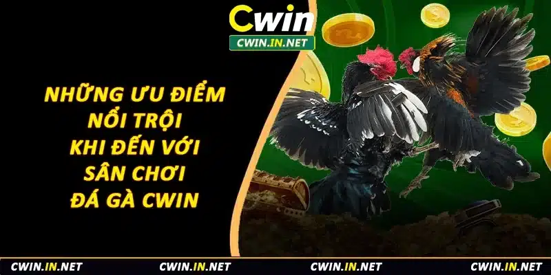 Những ưu điểm nổi trội khi đến với sân chơi đá gà Cwin 